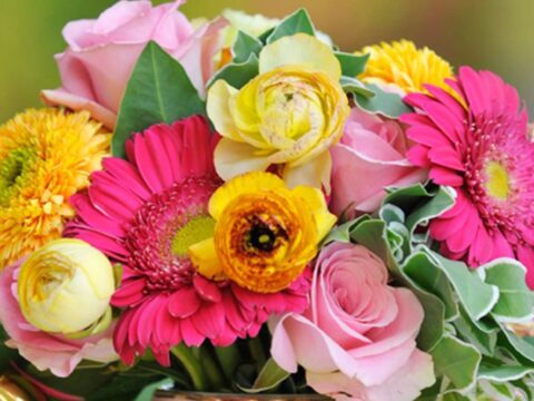 Kurraba Point Flower Delivery: Same-Day Bouquets for Every Need