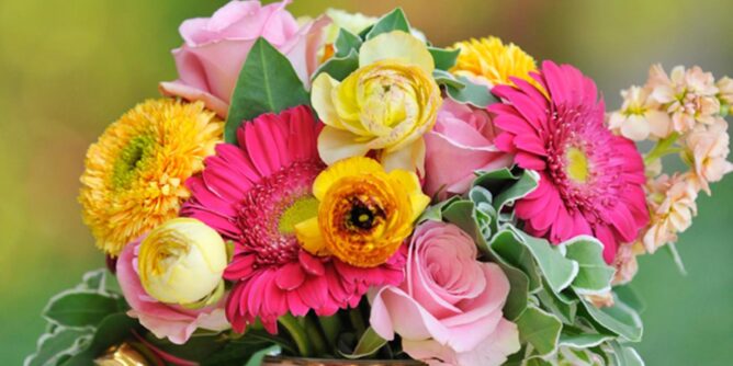 Kurraba Point Flower Delivery: Same-Day Bouquets for Every Need